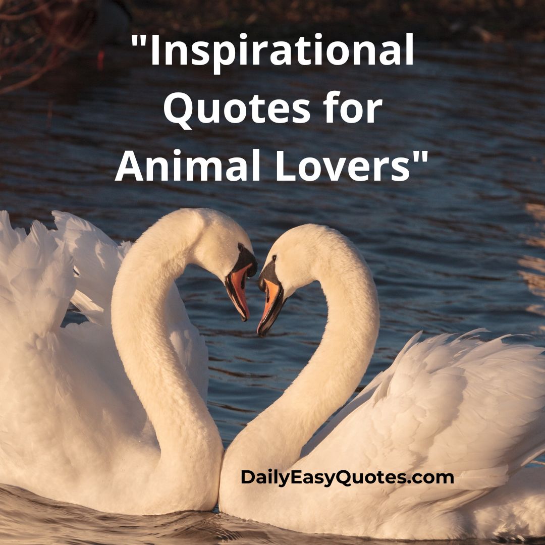 Animal Lover QuotesWith Heart Touching Message