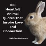 Heartfelt animal quotes that inspire love and connection with animals and pets.