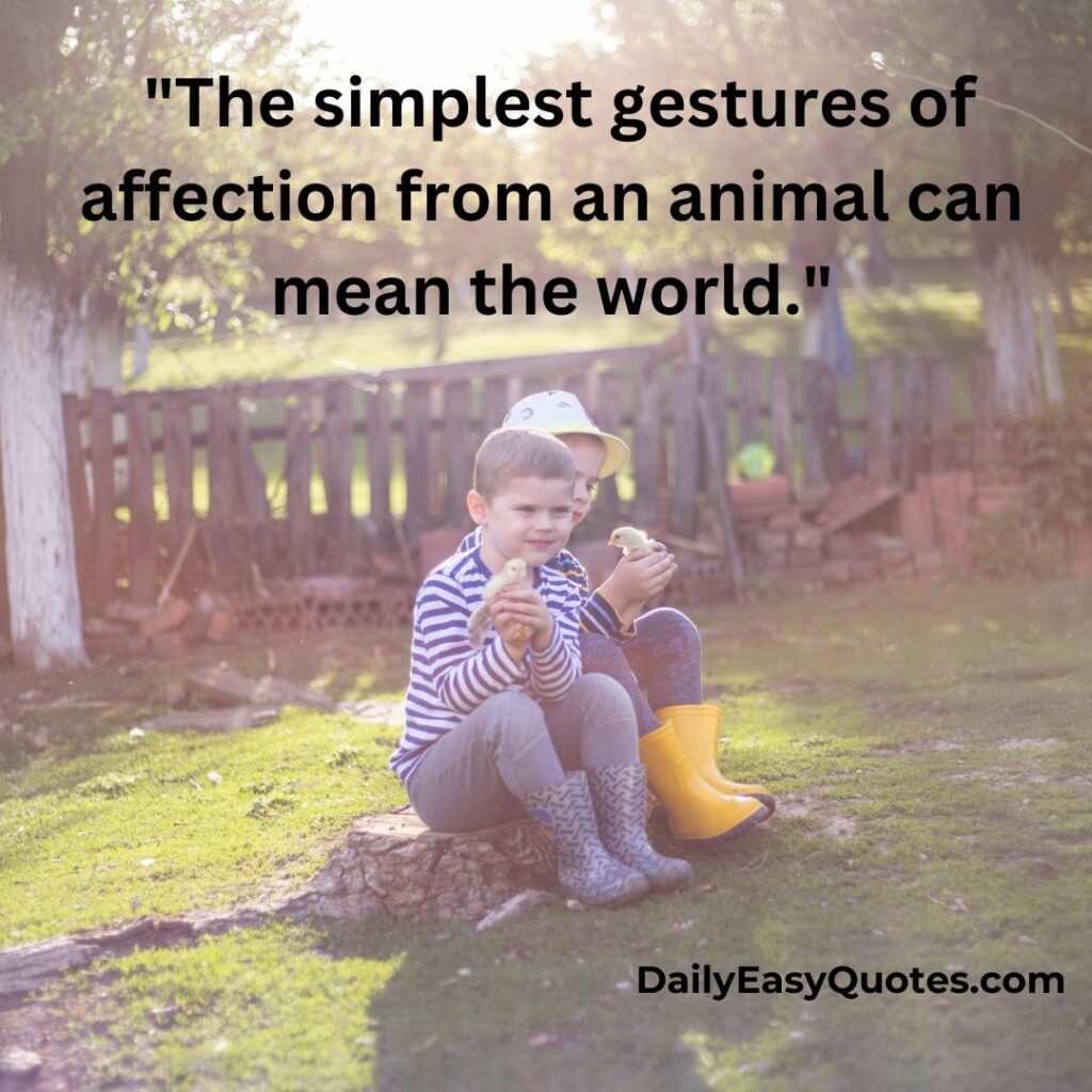 Simple gestures of affection from animals that mean the world.