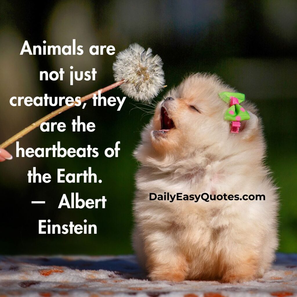 Animals are the heartbeat of the Earth, adding life and balance to nature.