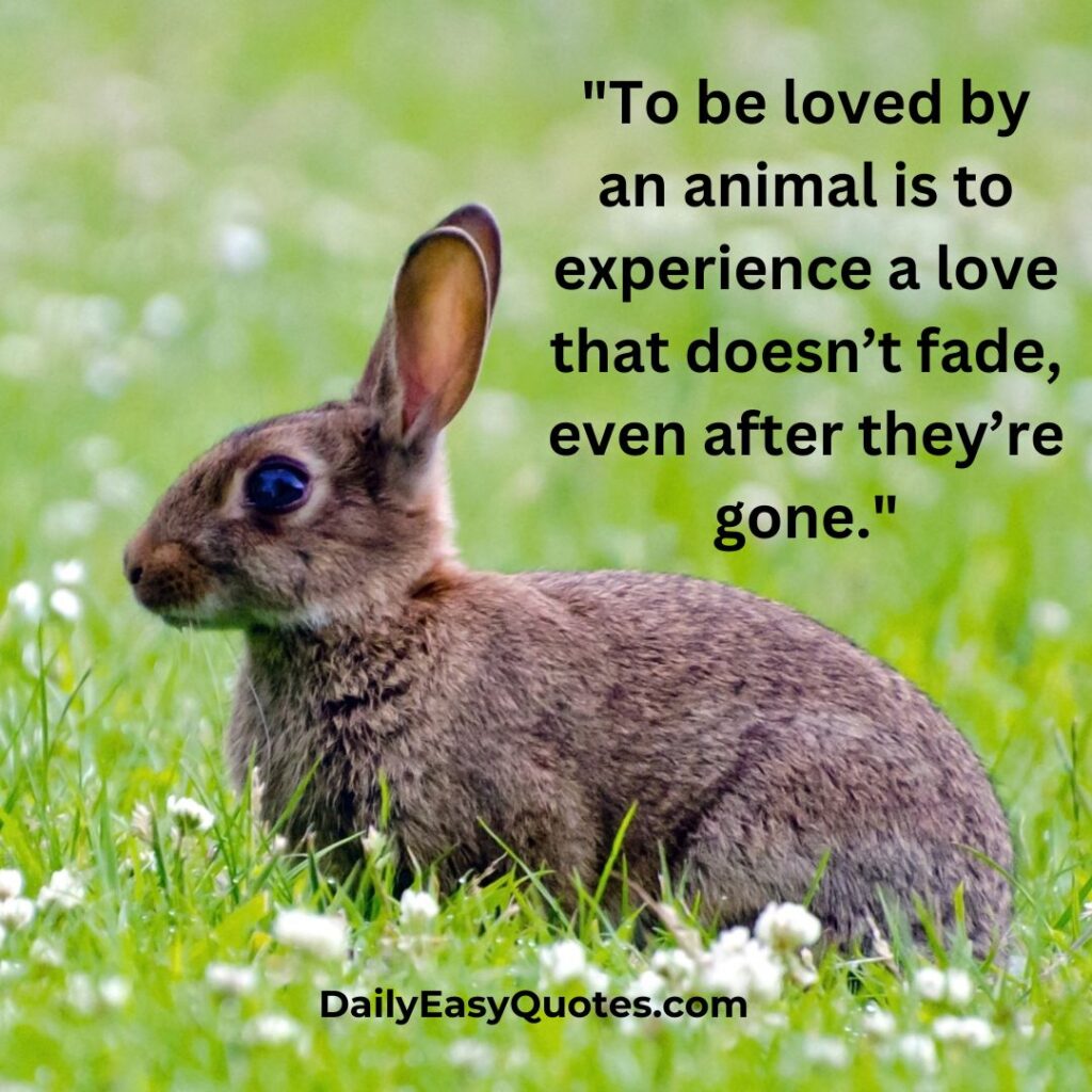 Quote about enduring love from animals