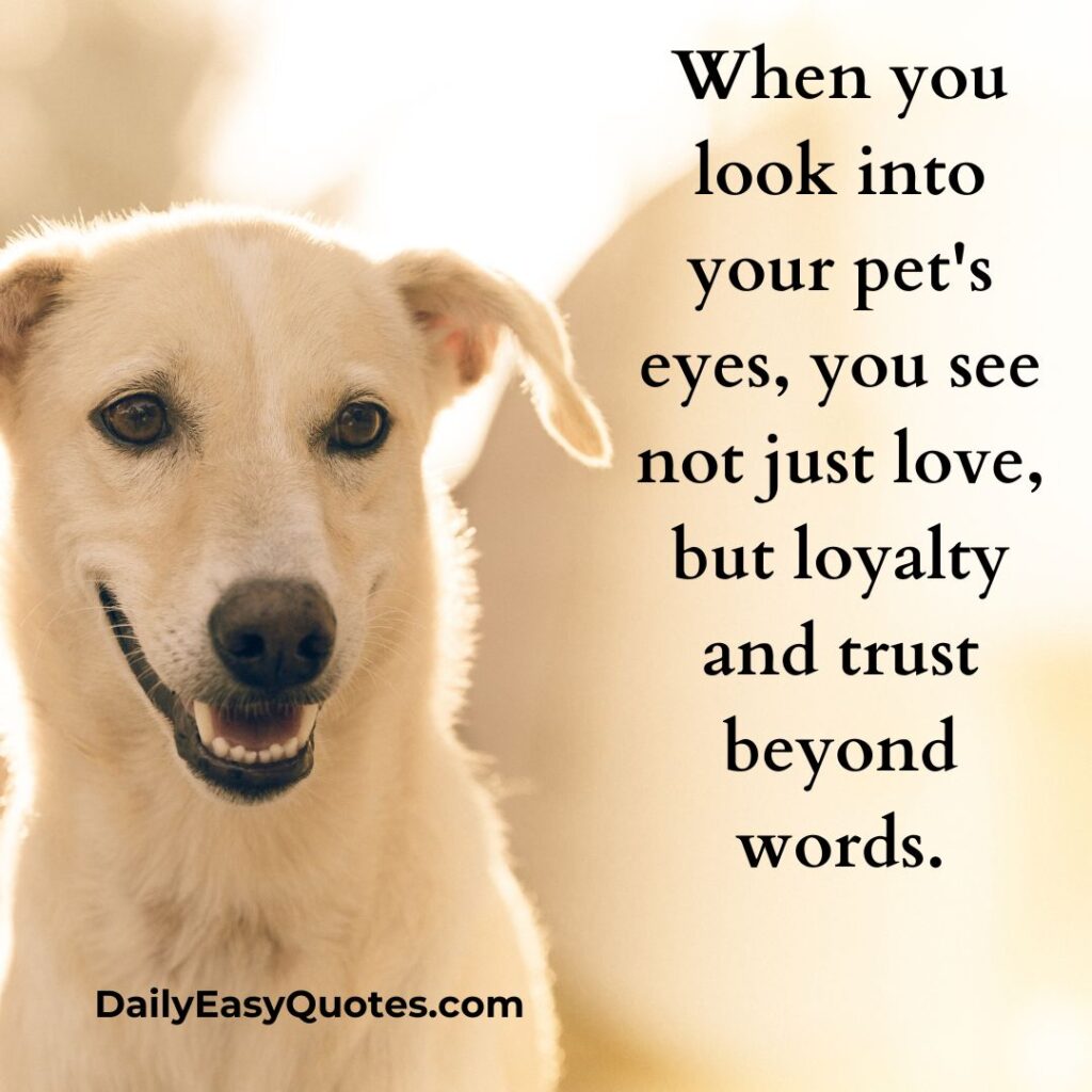 Looking into your pet's eyes reveals love, loyalty, and unspoken trust.