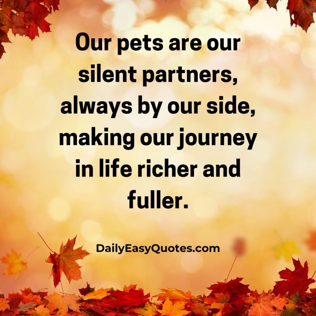 Pets are our loyal partners, making life’s journey more fulfilling and rich.