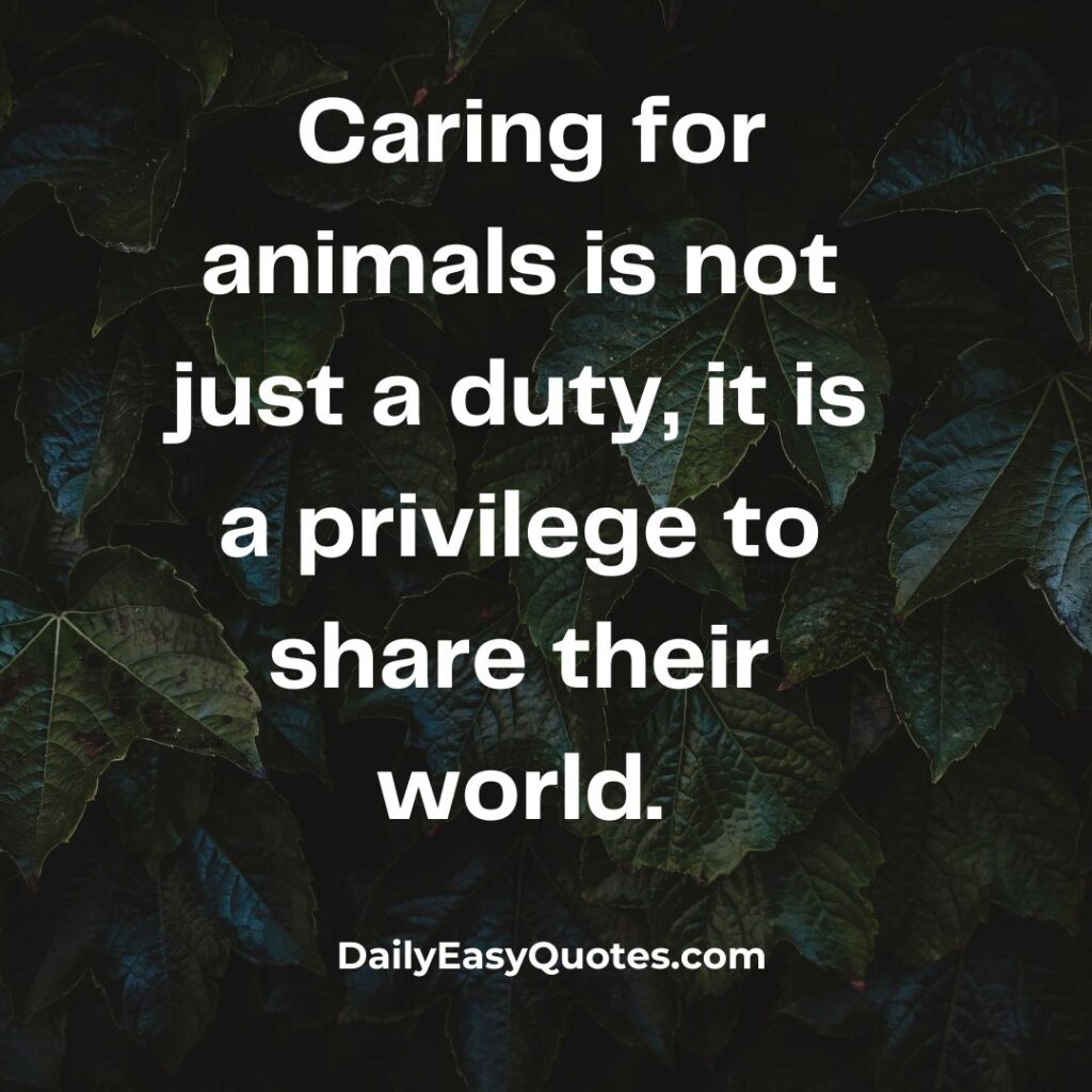 Caring for animals is a privilege, offering us a glimpse into their world.