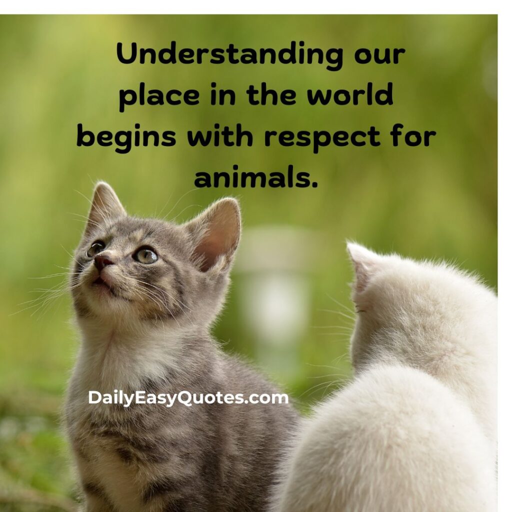 Respecting animals is key to understanding our place in the world.