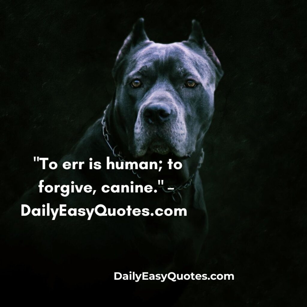 A dog’s unconditional love teaches us the beauty of forgiveness.