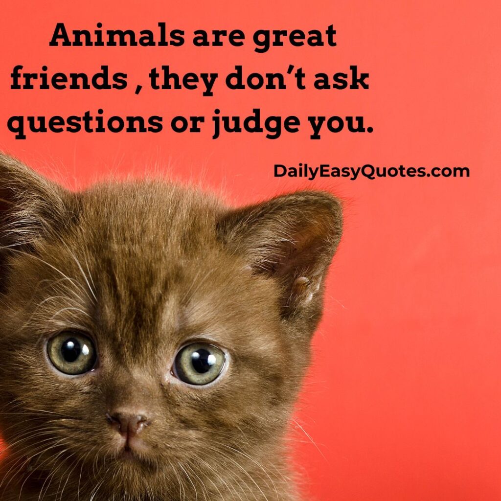 Animals offer unconditional companionship without judgment or questions.