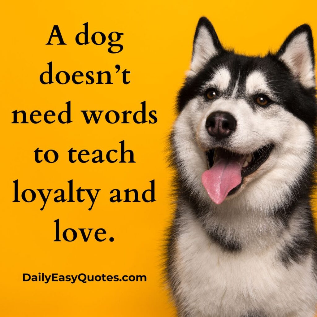 Through actions, a dog teaches us loyalty and true love.