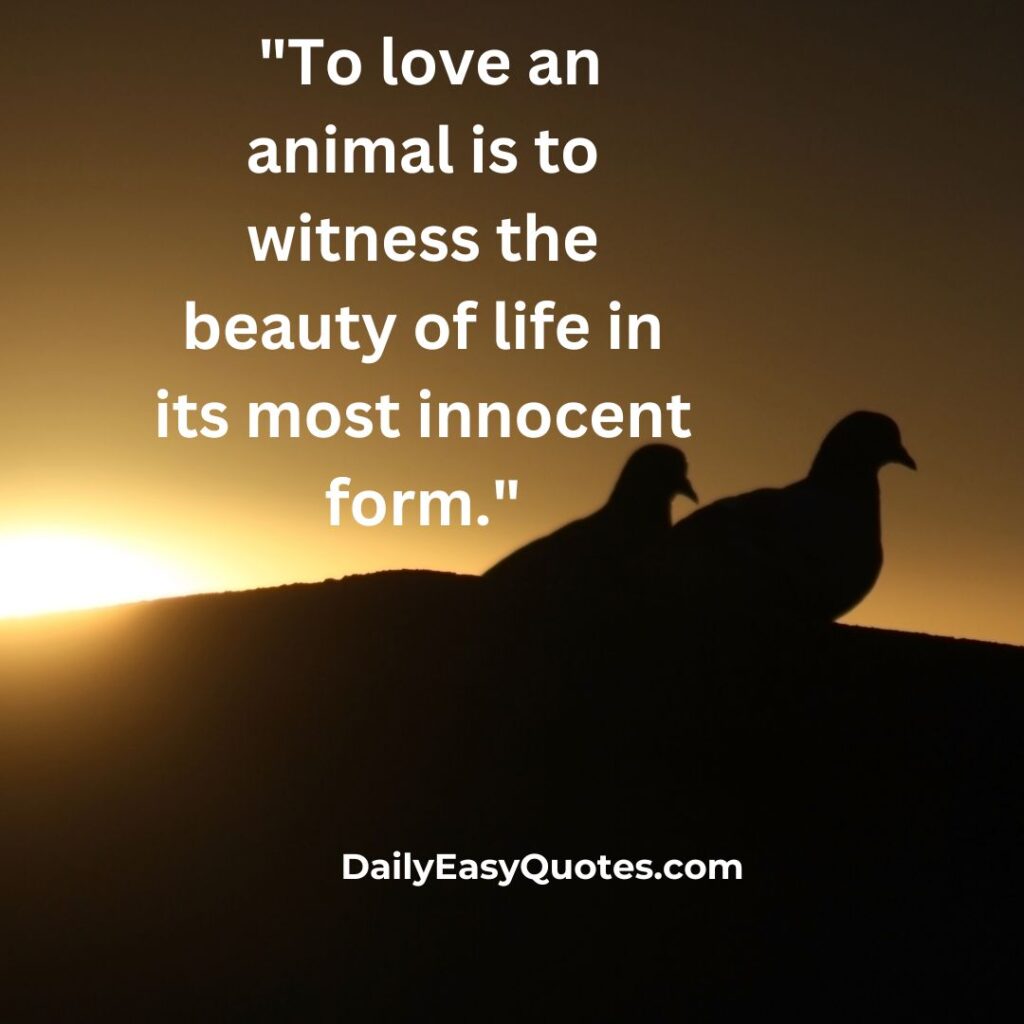 Quote about loving animals and appreciating life's innocence