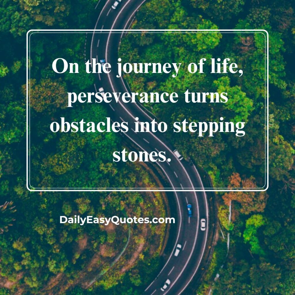 Quote about how perseverance turns life’s obstacles into opportunities.